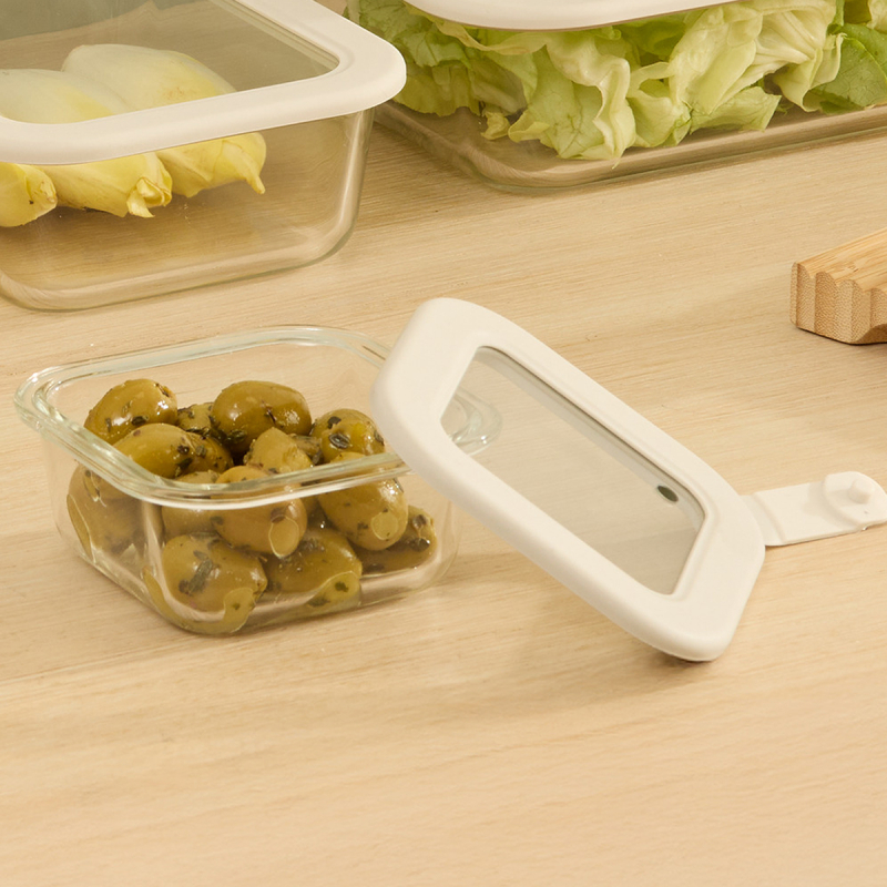 Φαγητοδοχείο 500ml F-V Sileat 213439