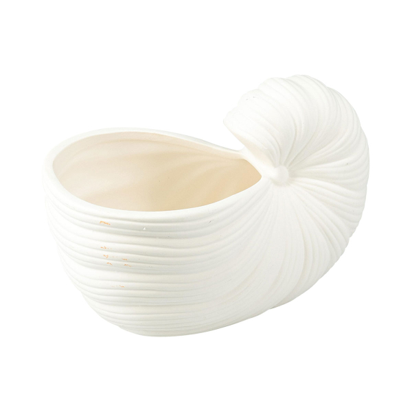 Κασπώ (20x12x10) K-M Sea Shell 095250550