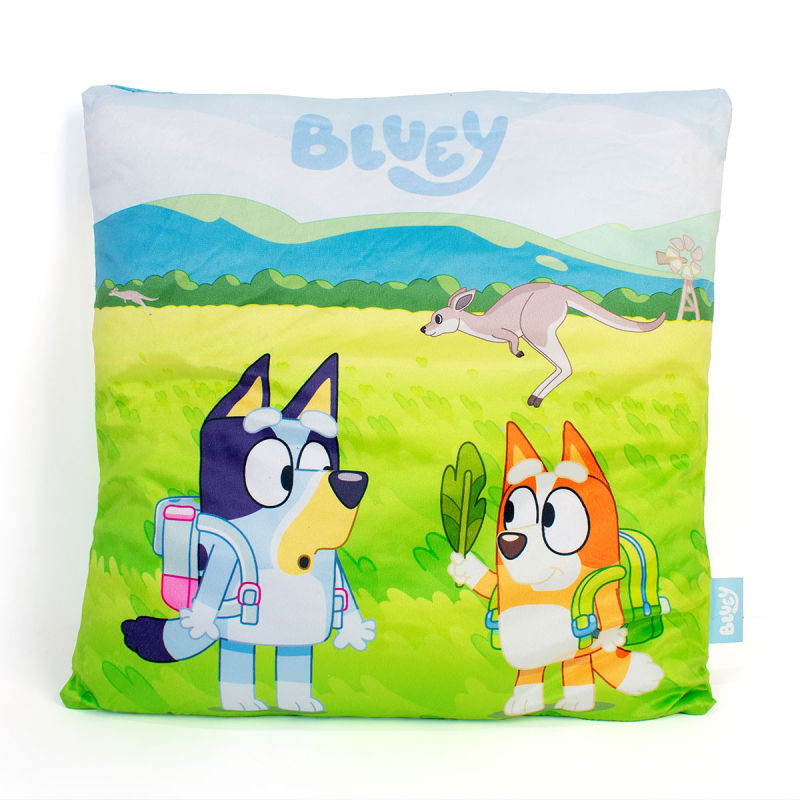 Διακοσμητικό Μαξιλάρι Βελουτέ 2 Όψεων (38x38) Dimcol Bluey 09