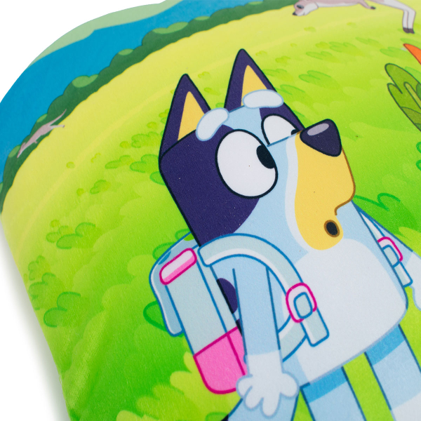 Διακοσμητικό Μαξιλάρι Βελουτέ 2 Όψεων (38x38) Dimcol Bluey 09