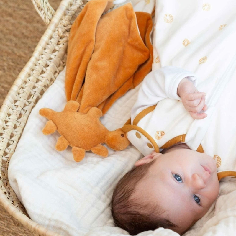 Πανάκι Παρηγοριάς Trois Kilos Sept Diplododo 55-8455011