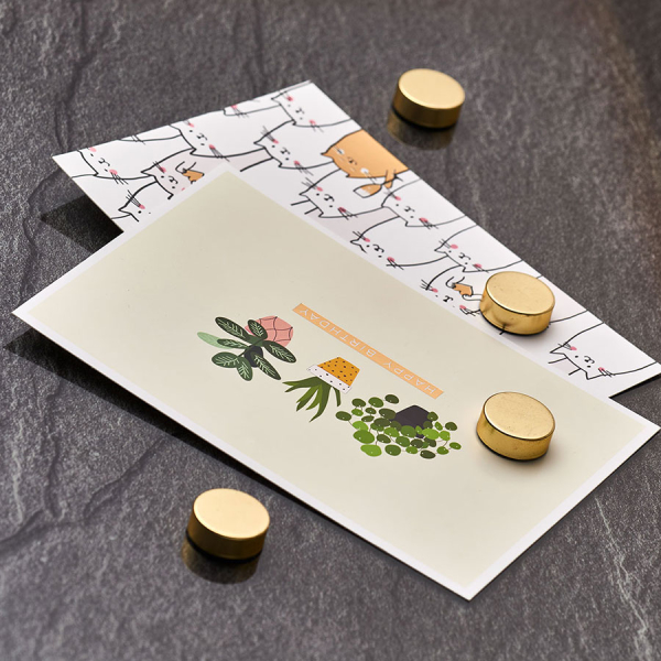 Μαγνητάκια (Σετ 4τμχ) Z-L 11234