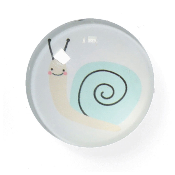 Μαγνητάκια (Σετ 4τμχ) Z-L Insects 11245