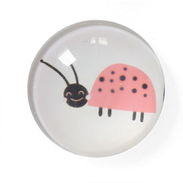 Μαγνητάκια (Σετ 4τμχ) Z-L Insects 11245