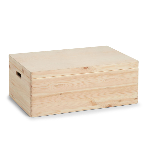 Κουτί Αποθήκευσης (60x40x24) Z-L Softwood 13154