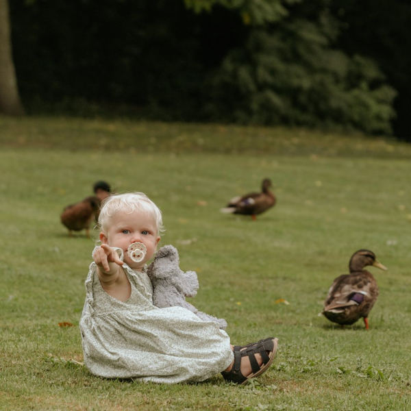 Πιπίλες Σιλικόνης Φυσιολογικές 0Μ+ (Σετ 6τμχ) Frigg Blooming Love