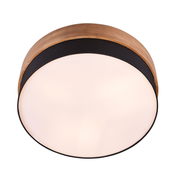 Φωτιστικό Πλαφονιέρα Trio Lighting Seasons Black 611500302