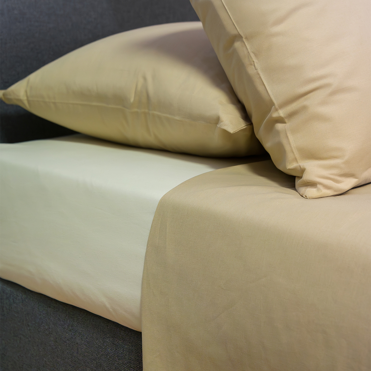 Σεντόνια Ημίδιπλα (Σετ) Naf-Naf Hue Safari - Birch Home Λευκά Είδη Κρεβατοκάμαρας Spitishop
