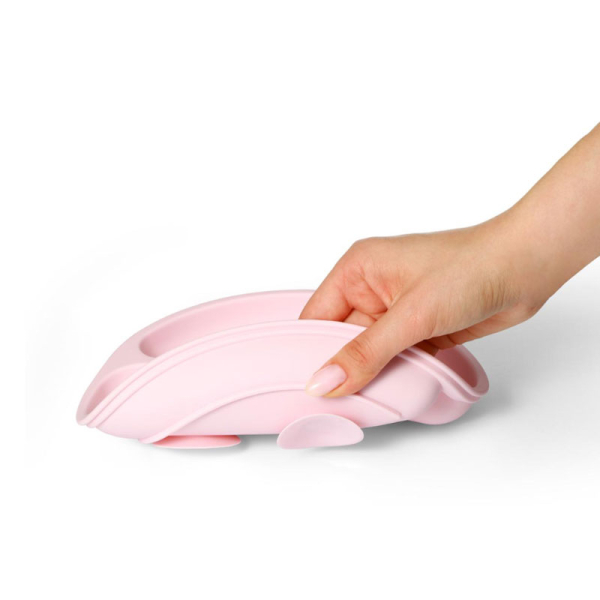 Πιάτο Με Χωρίσματα (Φ19.5x3) BabyOno Pink BN1482/02