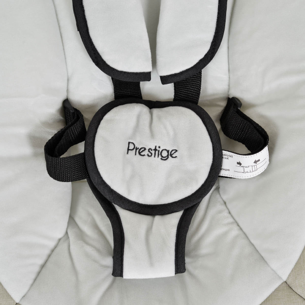 Ηλεκτρικό Ρηλάξ Με Μουσική (0+ Μηνών/Έως 9kg) Cangaroo Prestige Light Grey