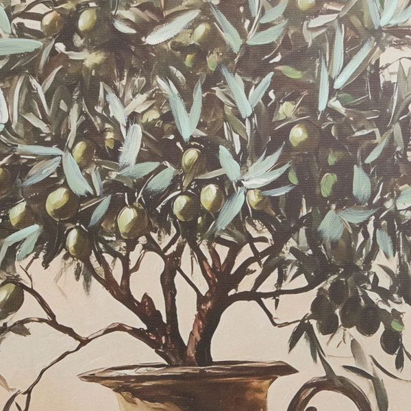 Πίνακας Με Κορνίζα (50x70) A-S Olly 223811