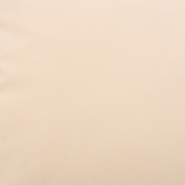 Διακοσμητικό Μαξιλάρι Γούνινο (40x40) A-S Duvia Beige 223360B