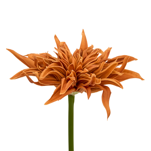 Τεχνητό Λουλούδι 55εκ. A-S Homy 218933 Orange