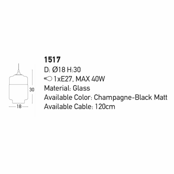 Φωτιστικό Οροφής Μονόφωτο Zambelis 1517 Champagne