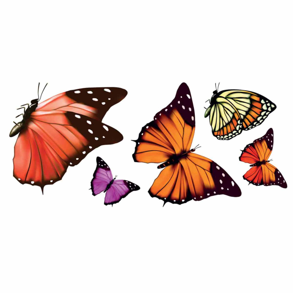 Αυτοκόλλητα Παραθύρου Διπλής Όψης Ango Butterflies 69002