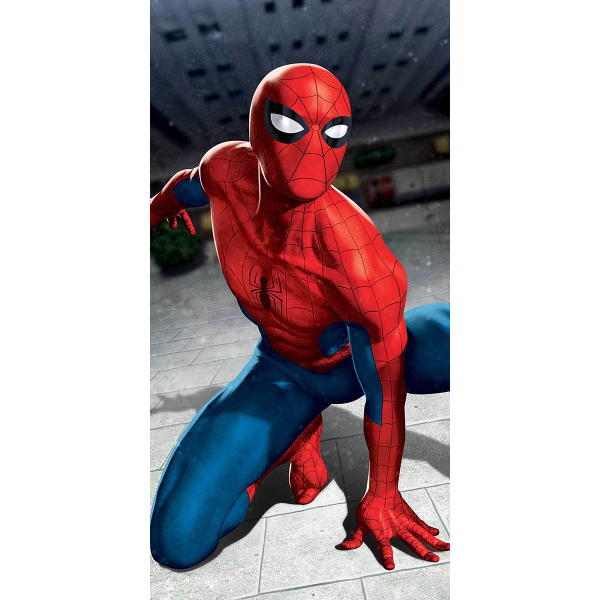 Παιδική Πετσέτα Θαλάσσης Dimcol Spiderman 18