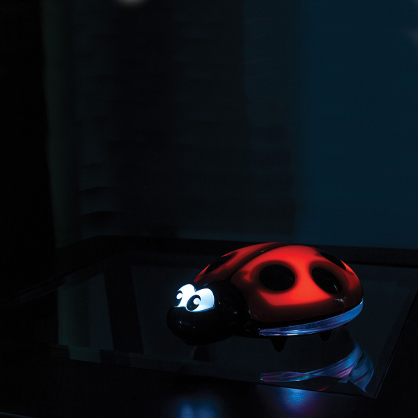 Παιδικό Φωτάκι Νυκτός Dreambaby Lady Bug BR74991