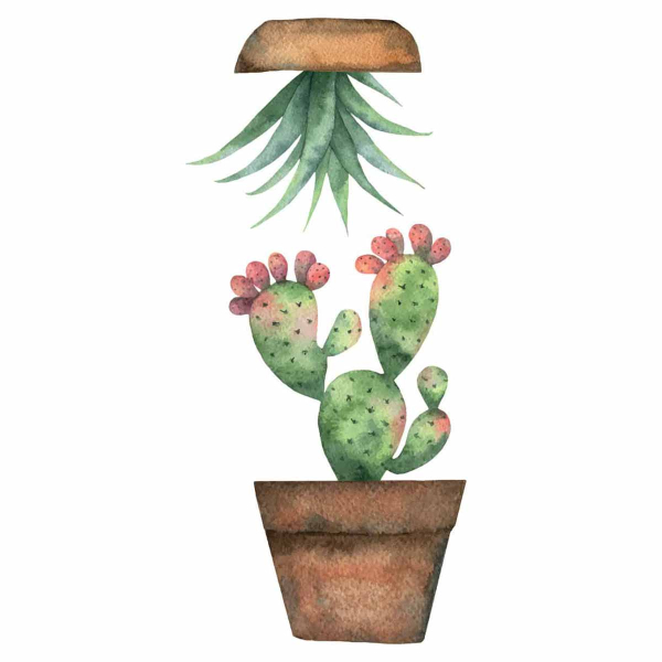 Αυτοκόλλητα Παραθύρου Διπλής Όψης Ango Cactus 69001