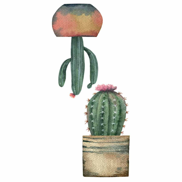 Αυτοκόλλητα Παραθύρου Διπλής Όψης Ango Cactus 69001