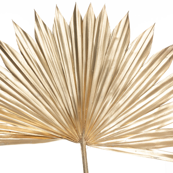 Διακοσμητικά Κλαδιά 50εκ. (Σετ 3τμχ) A-S Stems Gold 181479