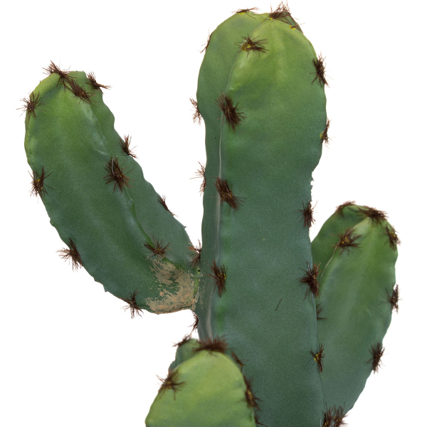 Τεχνητό Φυτό Σε Γλάστρα (Φ13x24) A-S Cactus Terra 185452