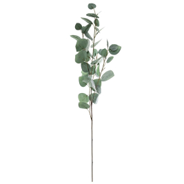 Διακοσμητικό Κλαδί A-S Eucalyptus 164263