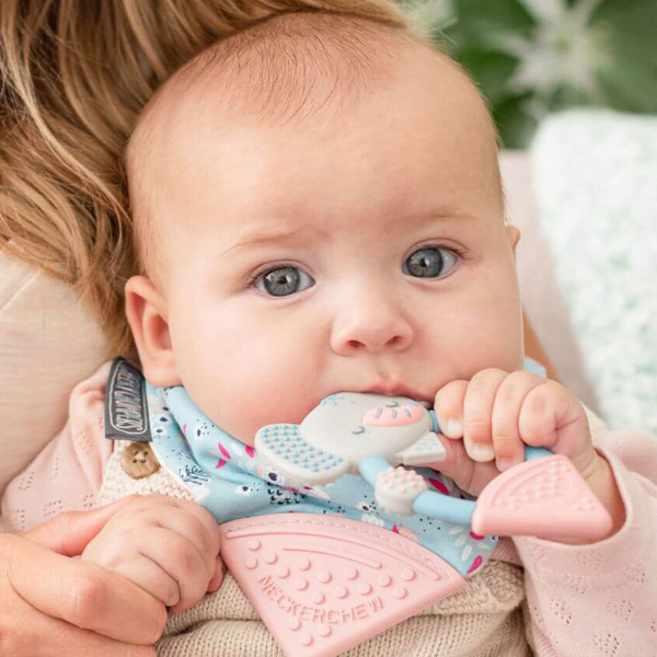 Μασητικό (6.5x11) Cheeky Chompers Darcy The Elephant