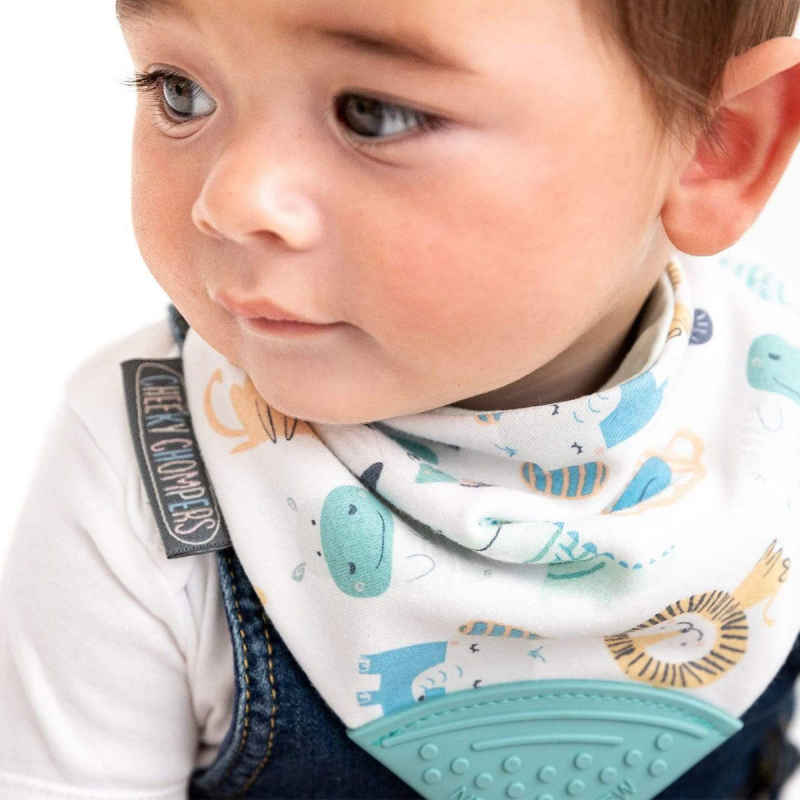 Σαλιάρα - Μπαντάνα Με Μασητικό 2-24 Μηνών Cheeky Chompers Animals