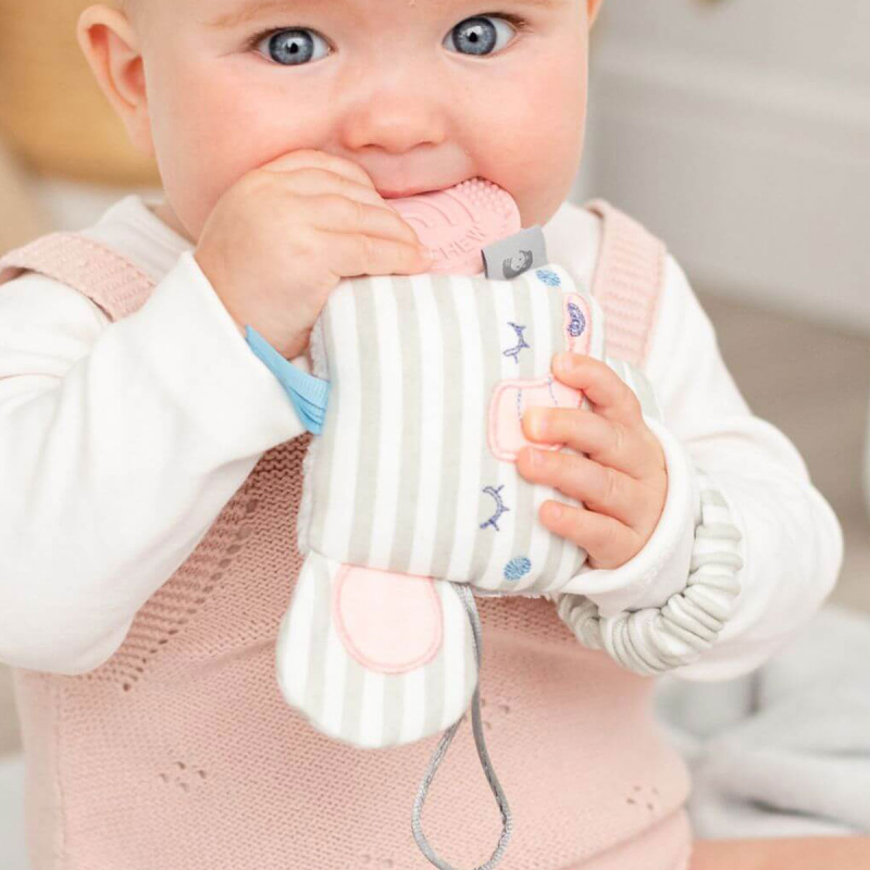 Παιχνίδι Δραστηριότητας Με Ήχο + Μασητικό (14x20) Cheeky Chompers Elephant