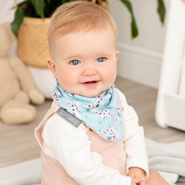 Σαλιάρες - Μπαντάνα 2-24 Μηνών (Σετ 2τμχ) Cheeky Chompers Bloom & Love