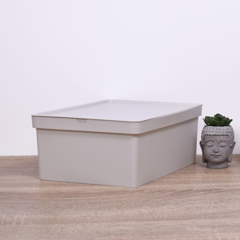 Κουτί Αποθήκευσης (35x25.5x13.5) Viomes Nova 690-50 Γκρι/Μπεζ