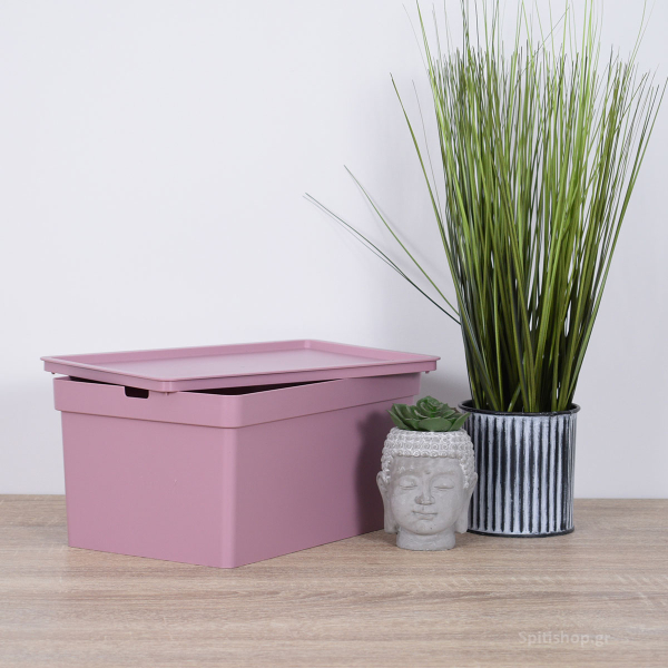 Κουτί Αποθήκευσης (28x18.5x13.5) Viomes Nova 681-76 Ροζ Σκούρο