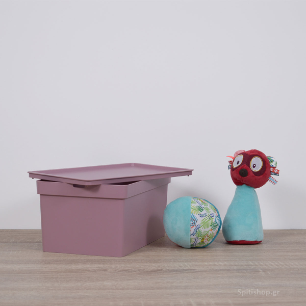 Κουτί Αποθήκευσης (28x18.5x13.5) Viomes Nova 681-76 Ροζ Σκούρο