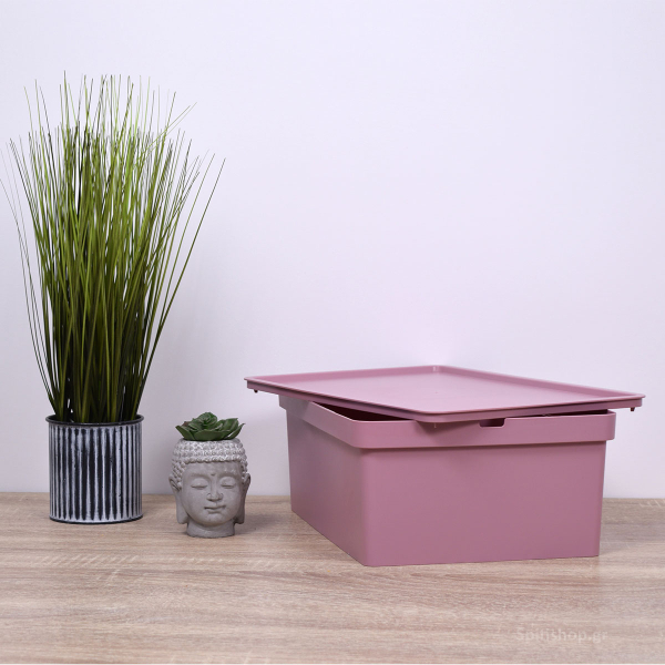 Κουτί Αποθήκευσης (35x25.5x13.5) Viomes Nova 690-76 Ροζ Σκούρο