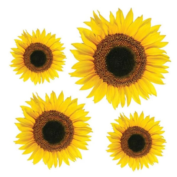 Αυτοκόλλητα Τοίχου Ango Sunflower 54106