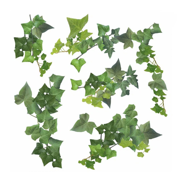 Αυτοκόλλητα Τοίχου Ango Watercolour Ivy 54152