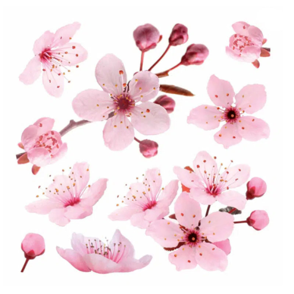 Αυτοκόλλητα Τοίχου Ango Cherry Blossom 54327