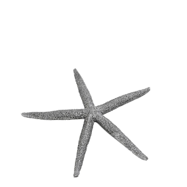 Διακοσμητική Φιγούρα Αστερίας (12.5x11x1.5) Espiel Ασημί MT2714K6