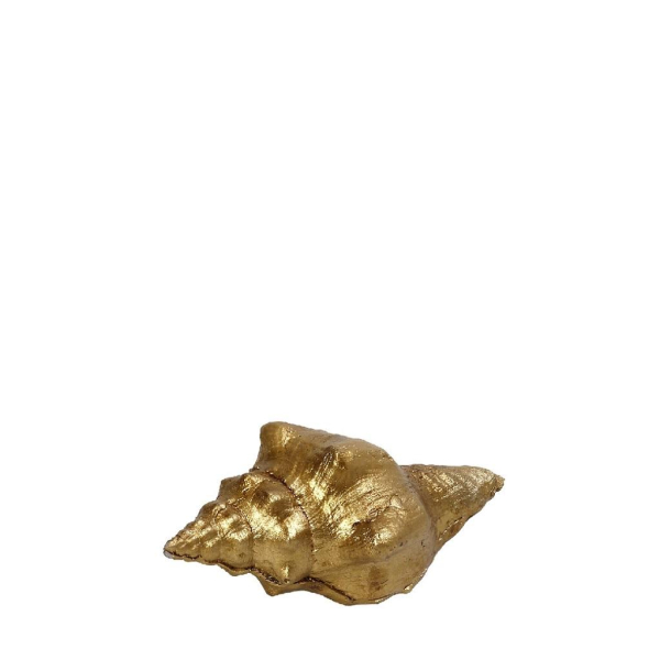 Διακοσμητικό Κοχύλι (9x4.5x4) Espiel Χρυσό MT2723K6