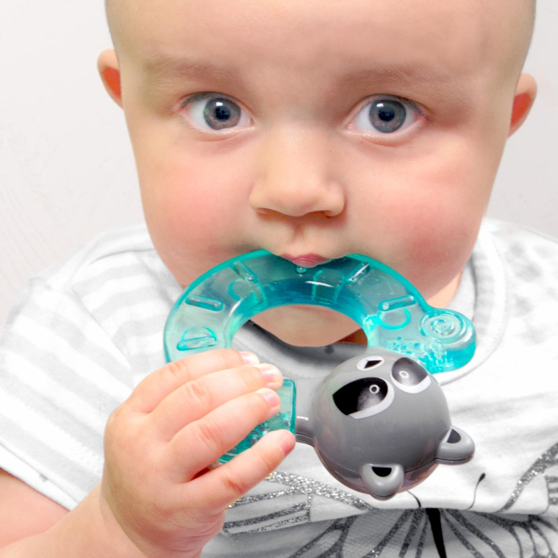 Μασητικό Ψυγείου Bbluv Gumi Ρακούν B0149-A