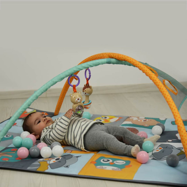 Βρεφικό Γυμναστήριο Bebe Stars Lion Picnic 100-179