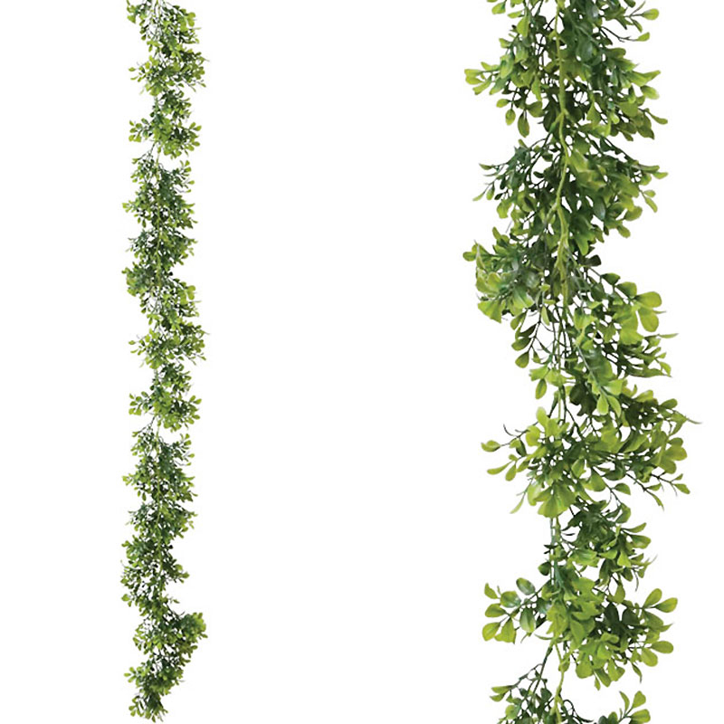 Διακοσμητικό Φυτό Κρεμαστό – Γιρλάντα 155κ. Marhome 00-00-20400