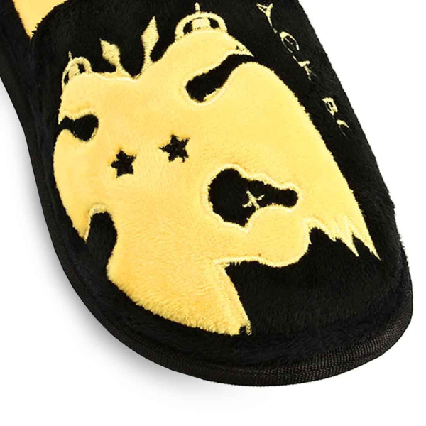 Παντόφλες Παιδικές Parex AEK 10122231 Μαύρο