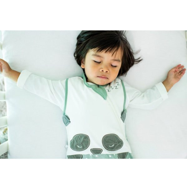 Χειμερινός Υπνόσακος 2.5 Tog (6-18 Μηνών) Gro Company GroBag Sleeping Pip