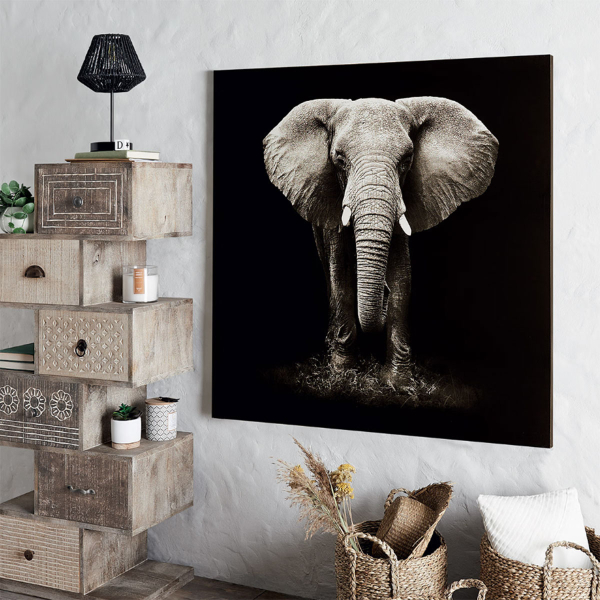 Πίνακας (100x100) A-S Elephant 158209