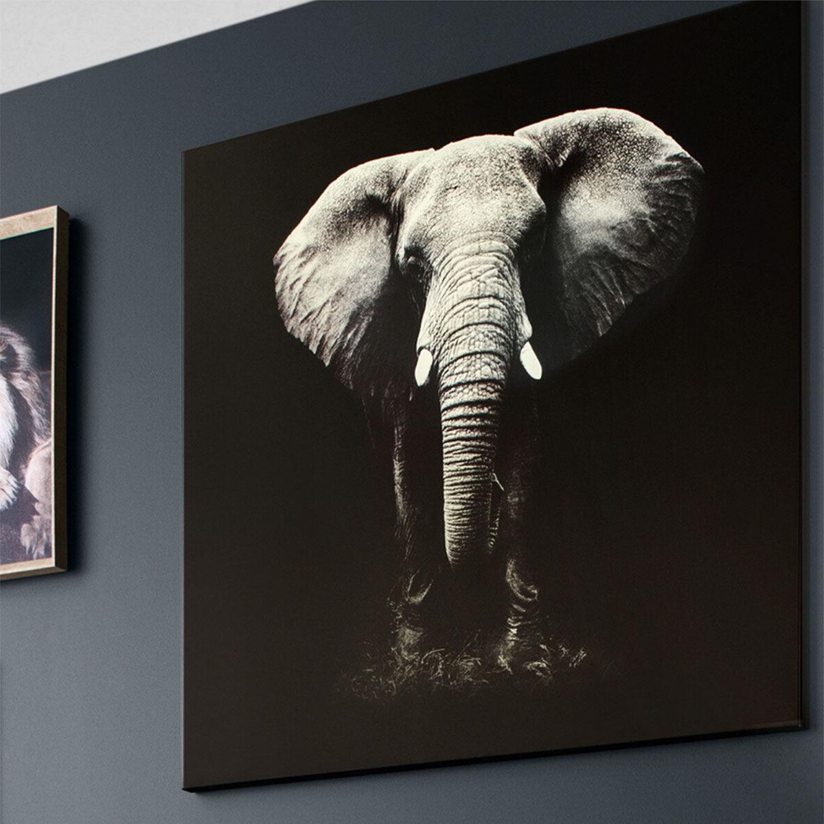 Πίνακας (100X100) A-S Elephant 158209 Home Διακόσμηση Πίνακες & Κάδρα Τοίχου Spitishop