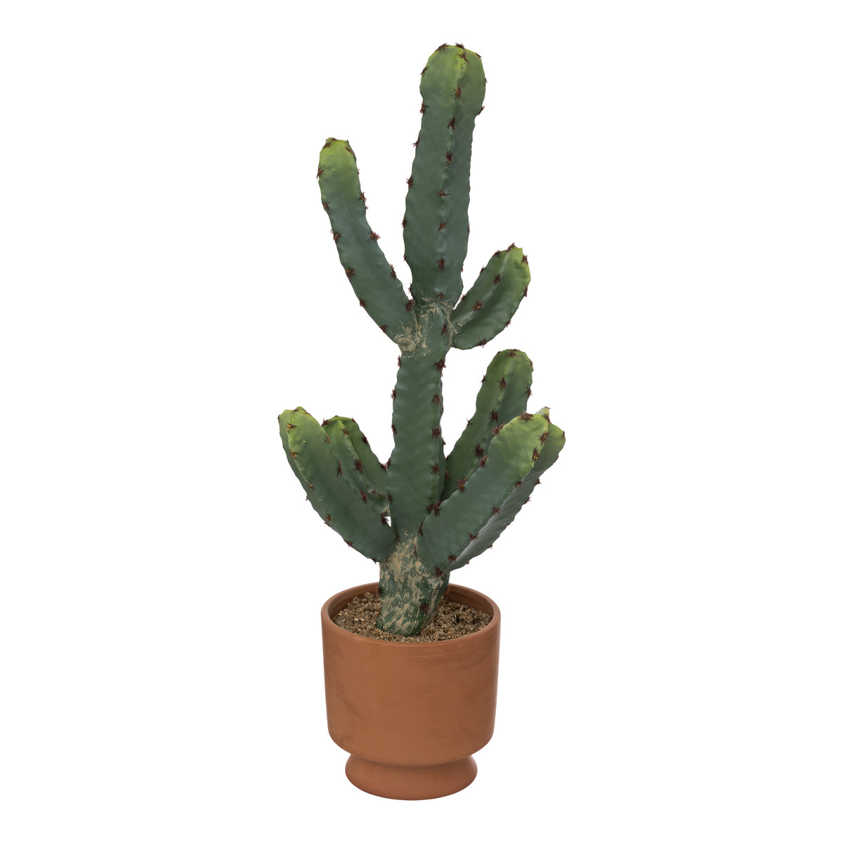Διακοσμητικό Φυτό Σε Γλάστρα (Φ19×49) A-S Cactus 189102 229676