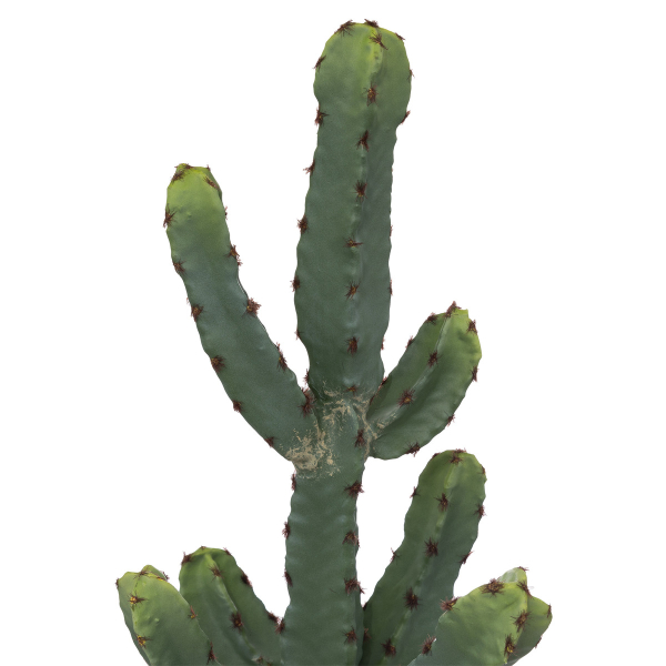 Τεχνητό Φυτό Σε Γλάστρα (Φ19x49) A-S Cactus 189102
