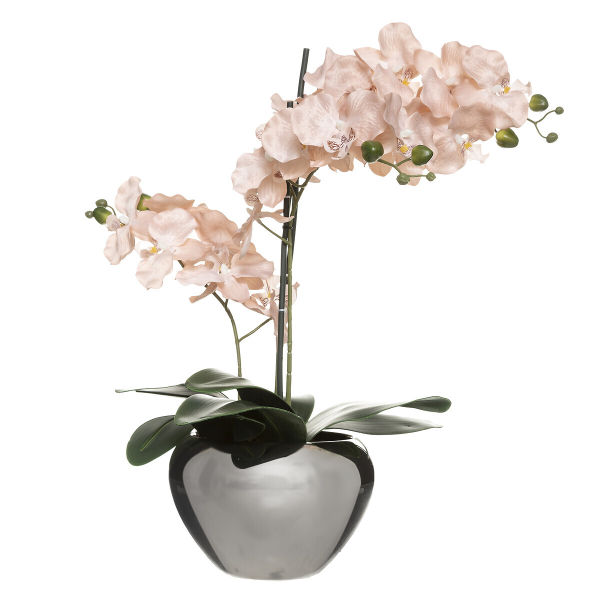 Διακοσμητικό Φυτό Σε Γλάστρα (Φ47x56) A-S Pink Orchid 136506B