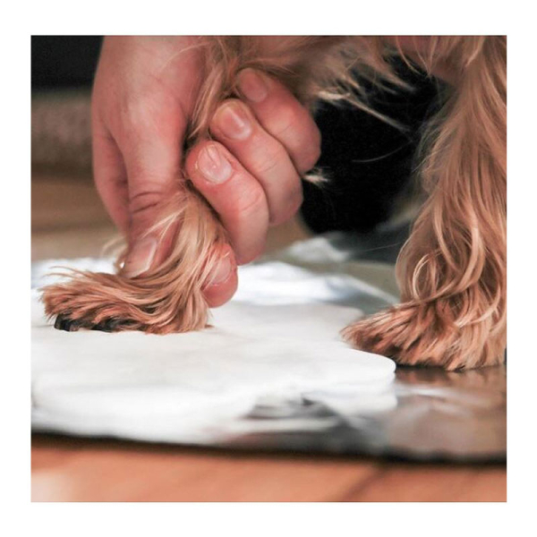 Κορνίζα Αποτύπωμα (29x19) Pearhead Pawprints PH-83033